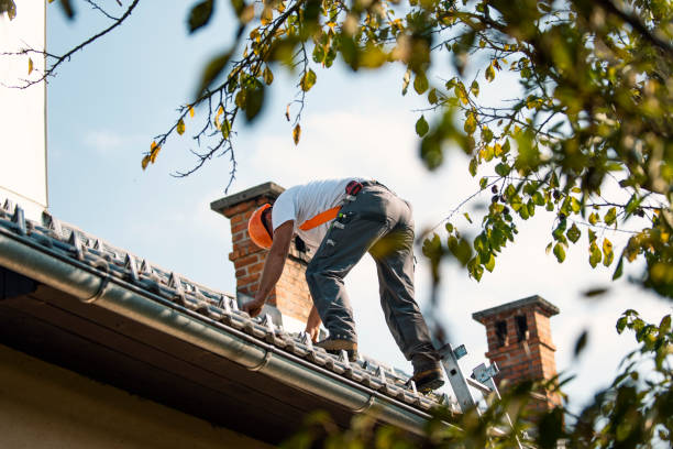 Best Roof Restoration Services  in Brook Highland, AL