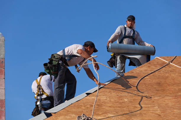 Best Roof Repair Services  in Brook Highland, AL